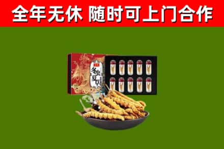 平鲁烟酒回收冬虫夏草礼盒.jpg